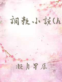 调教小说(h)