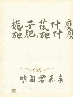 栀子花什么时候施肥,施什么肥好