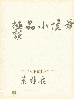 极品小侯爷的小说