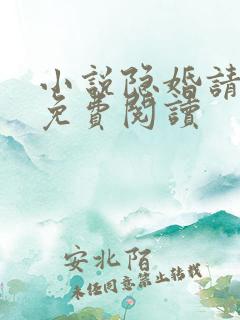小说隐婚请低调免费阅读