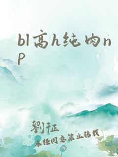 bl高h纯肉np