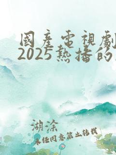 国产电视剧推荐2025热播的剧