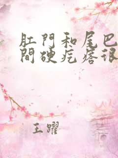 肛门和尾巴骨中间硬疙瘩很疼