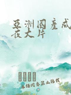 亚洲国产成人午夜大片