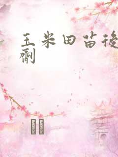 玉米田苗后除草剂