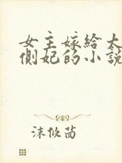 女主嫁给太子做侧妃的小说