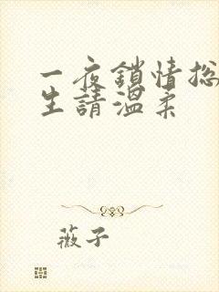 一夜锁情总裁先生请温柔
