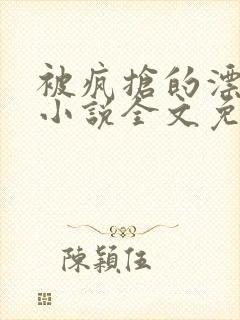 被疯抢的漂亮攻小说全文免费阅读无弹窗