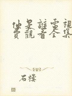 他是谁电视剧免费观看全集完整版