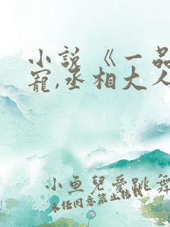 小说 《一品娇宠,丞相大人求休妻》