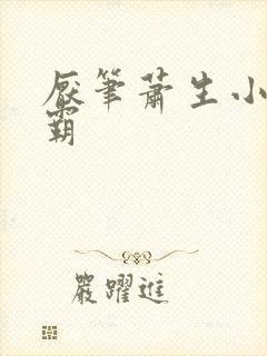厌笔萧生小说帝霸