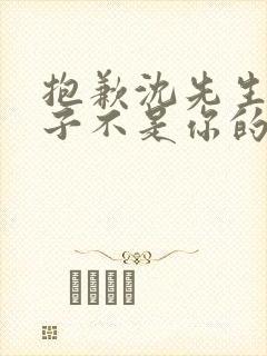 抱歉沈先生,孩子不是你的短剧免费播放