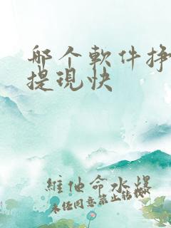 哪个软件挣钱多提现快