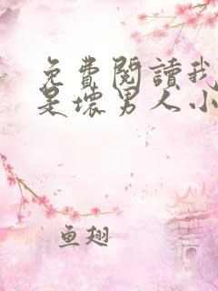 免费阅读我真不是坏男人小说