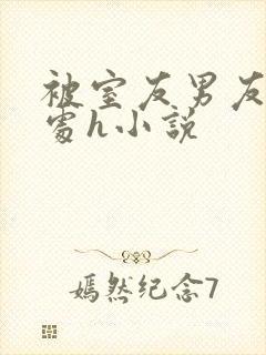 被室友男友破了处h小说