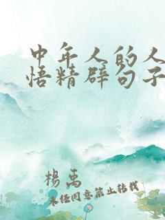 中年人的人生感悟精辟句子