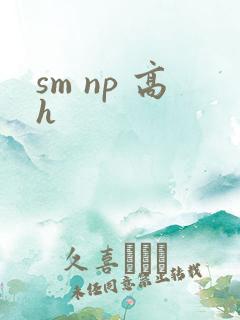 sm np 高h
