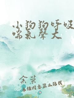 小狗狗呼吸急促喘气声大
