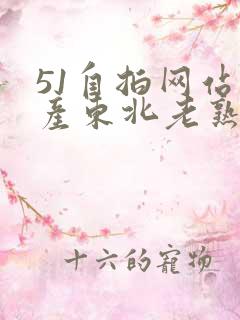 51自拍网站国产东北老熟女