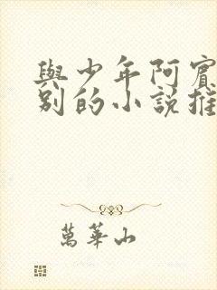 与少年阿宾同级别的小说推荐