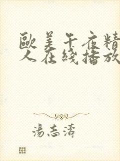 欧美午夜精品成人在线播放