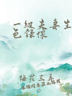 一级夫妻生活黄色录像