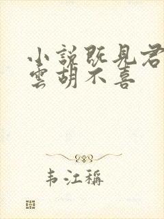 小说既见君子,云胡不喜