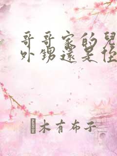 哥哥家的儿子叫外甥还是侄子
