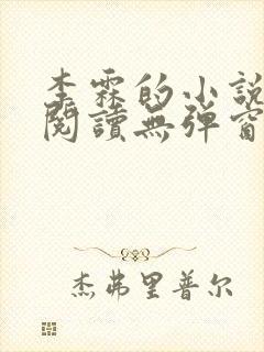 李霖的小说免费阅读无弹窗