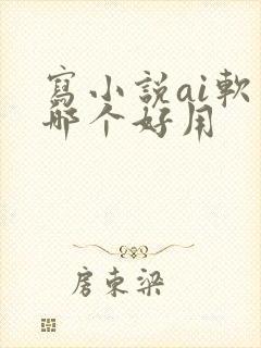 写小说ai软件哪个好用