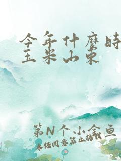 今年什么时候收玉米山东