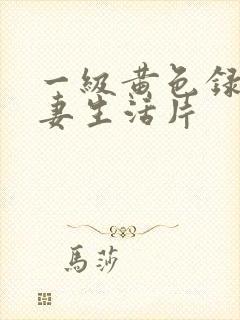 一级黄色录像夫妻生活片