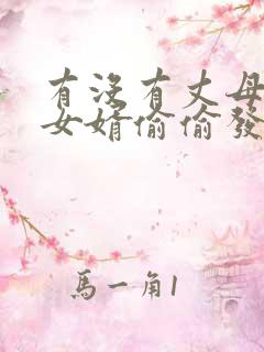有没有丈母娘和女婿偷偷发什么关系