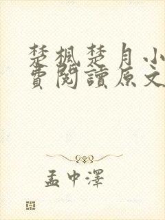 楚枫楚月小说免费阅读原文