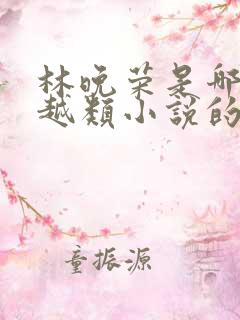 林晚荣是哪部穿越类小说的主人公 林晚荣是哪部穿越类小说的主人公