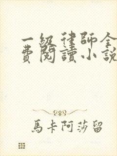 一级律师全文免费阅读小说