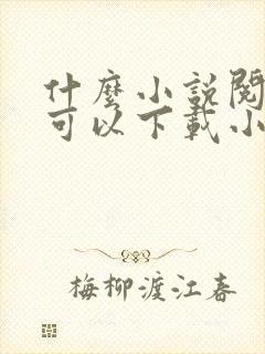 什么小说阅读器可以下载小说