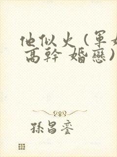 他似火 (军婚 高干 婚恋)小说