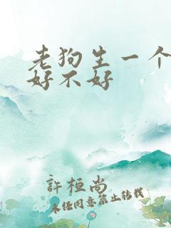 老狗生一个小狗好不好
