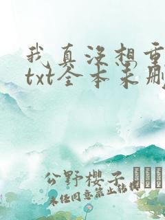 我真没想重生啊txt全本未删减下载