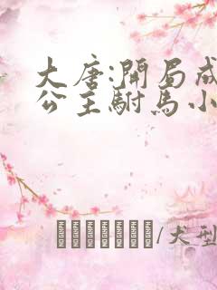 大唐:开局成了公主驸马小说免费