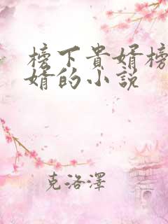 榜下贵婿榜上佳婿的小说