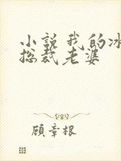小说 我的冰山总裁老婆