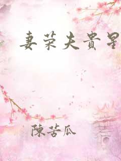 妻荣夫贵星际