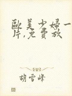 欧美少妇一级淫片,免费放