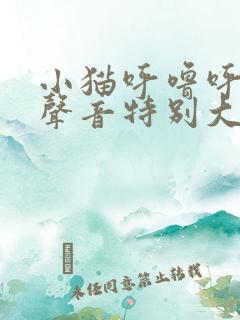 小猫呼噜呼噜的声音特别大