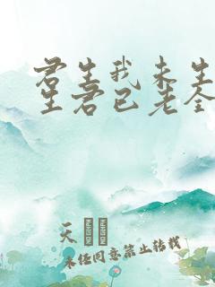 君生我未生,我生君已老全诗