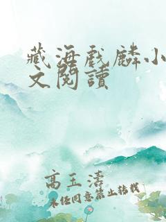 藏海戏麟小说全文阅读