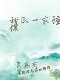 甜瓜一亩种多少棵