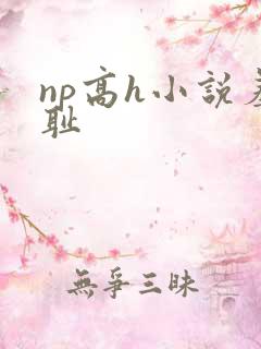 np高h小说羞耻